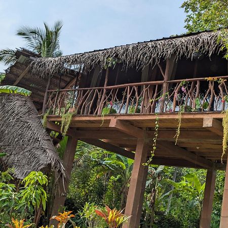 Sigiriya Rock View Tree House Villa Dış mekan fotoğraf