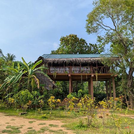 Sigiriya Rock View Tree House Villa Dış mekan fotoğraf