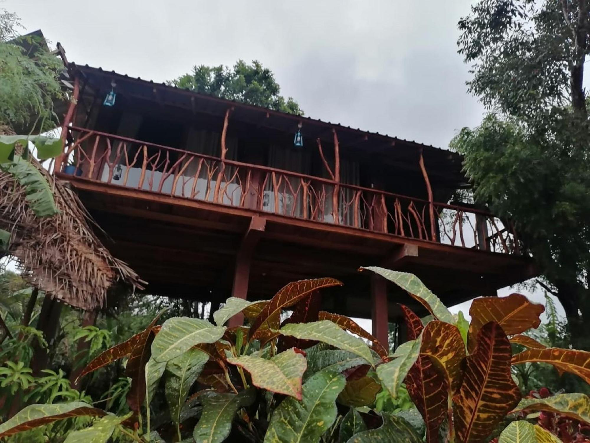 Sigiriya Rock View Tree House Villa Dış mekan fotoğraf