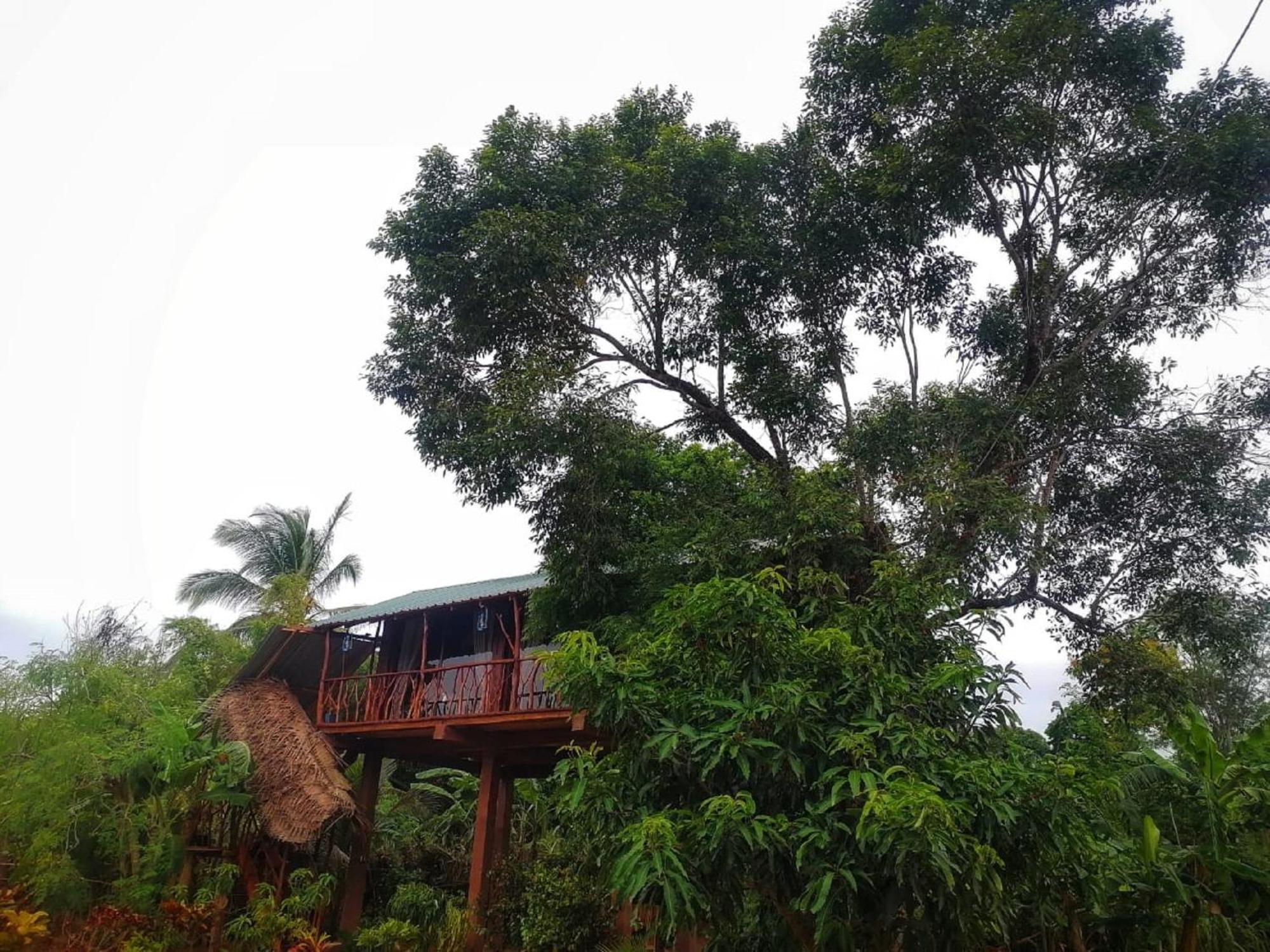Sigiriya Rock View Tree House Villa Dış mekan fotoğraf