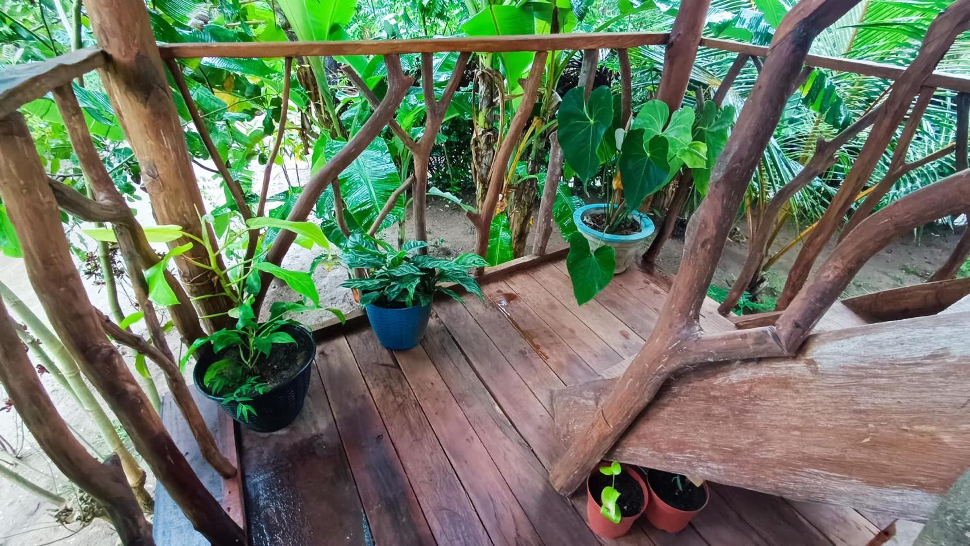 Sigiriya Rock View Tree House Villa Dış mekan fotoğraf