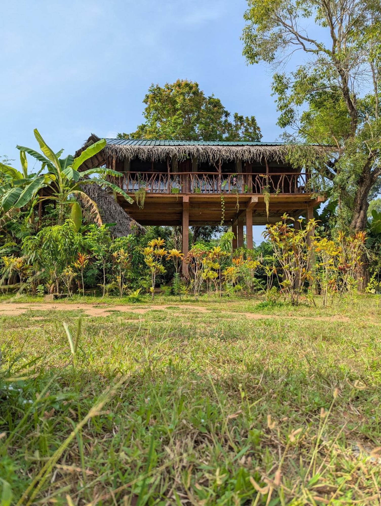 Sigiriya Rock View Tree House Villa Dış mekan fotoğraf